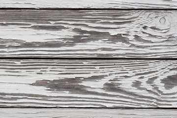 The white wood texture with natural patterns background