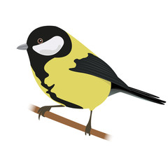 Titmouse