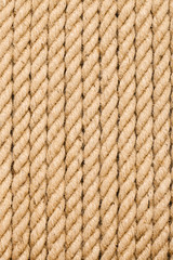 Different backgrounds and textures