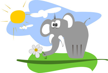 Слон на поле