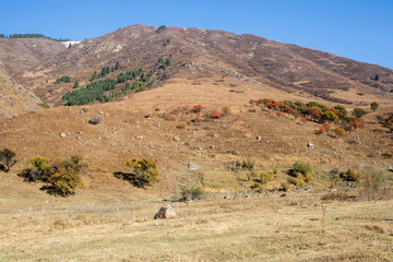panorama of the nature of the Kaskelen gorge in Almaty