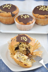 Schokoladen Muffins
