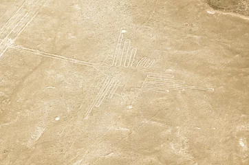 Foto op Plexiglas the hummingbird geoglyphs of Nazca © NJ