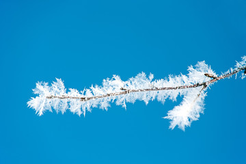 rime frost