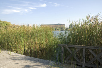 Roseau, prefecture, Lac Creteil,  Val de Marne, 94