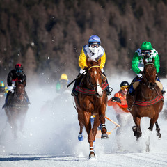 sfida equestre © Silvano Rebai