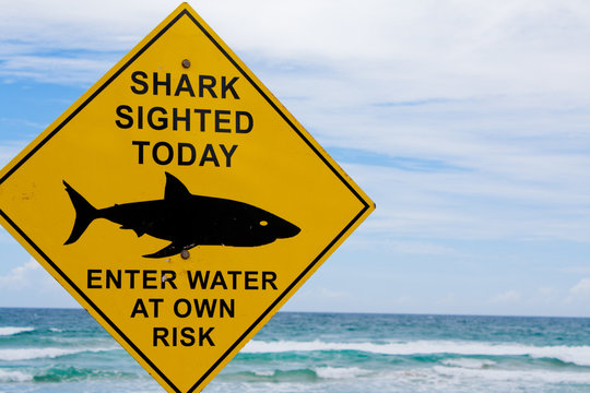 Shark Warning Sign