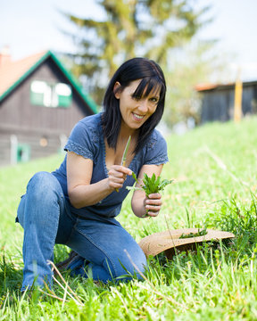 Frau beim Sammeln von L&ouml;wenzahn