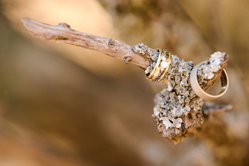 wedding rings on a branch