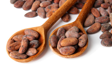 Cocoa beans in wooden spoons, isolated on white