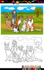 dogs breeds cartoon for coloring book