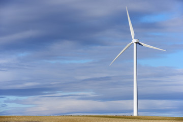 Fototapeta premium wind energy