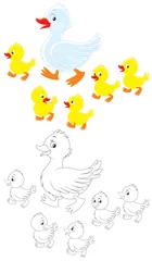 Washable wall murals DIY Duck and ducklings