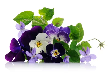 Peel and stick wall murals Pansies pansies and violets