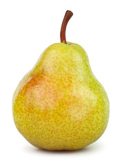 pears one © bergamont