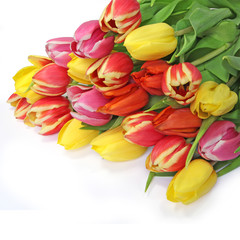 Obraz premium bouquet de tulipes