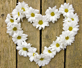 Herzliche Blumengrüße: Weiße Margeriten auf Holz