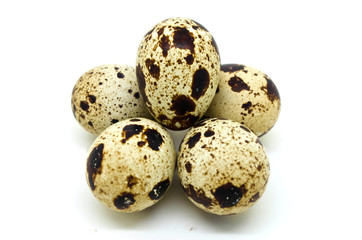 quail eggs on white background