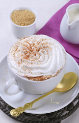 Cup of Vienna coffee