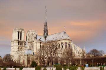 Fototapeta na wymiar Overview of the Cathedral of Notre Dame from the bank of the riv