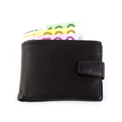 wallet with money