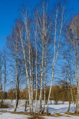 Spring Grove in good weather