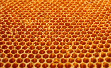 Honeycomb