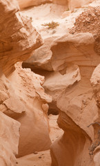 Northern Inland Fuerteventura, barranco de los enamorados