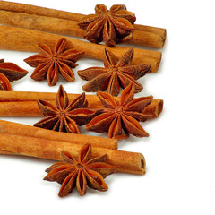 anisetree and cinnamon stitsks isolate