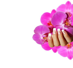 N&auml;gel French - pinke Orchideen