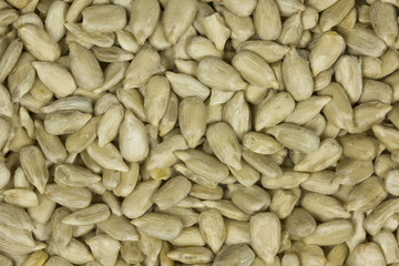 Raw Sunflower Seed Kernels