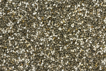 Raw Organic Chia Seeds