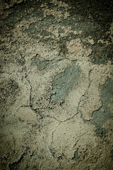 background texture pattern of grunge wall with mold