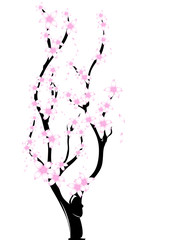 Obraz na płótnie Canvas ramo con fiorellini rosa