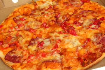 Tasty pizza in box close-up