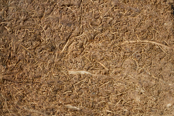 The texture of coconut fibers with high-resolution