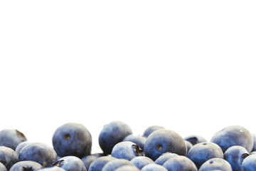 Blueberry background