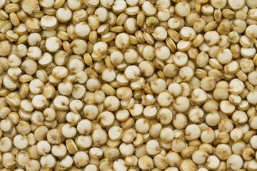 Organic Quinoa