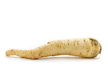 Organic Parsley Root