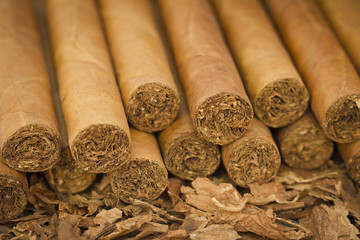 Cigars on Tobacco