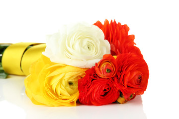 Ranunculus (persian buttercups), isolated on white