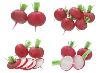 Radish isolated on a white background
