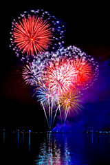 Celebratory bright firework - 51615991