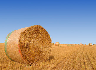 Straw bales on farmland with blue sky