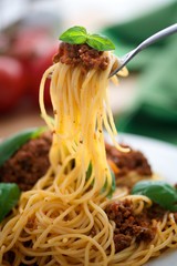 Delicious spaghetti bolognese