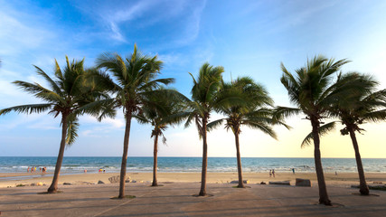 Fototapeta na wymiar Coconut on beach