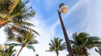 Lamp on beach