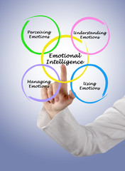 Diagram of emotional intelligence