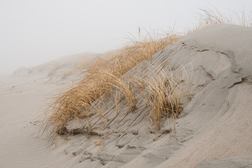 Dünenlandschaft