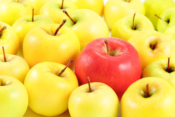 red apple between yellow apples as different concept